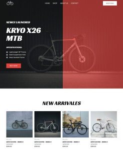 bike_shop
